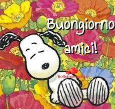 Buongiorno Belle Foto Immagini Per Whatsapp Facebook Mit Bildern Guten Morgen Buongiorno Italien