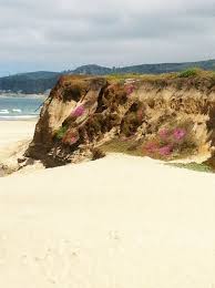 Maybe you would like to learn more about one of these? Half Moon Bay Mapio Net