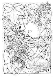 27 miraculous ladybug coloring pages; Pictures To Colour In 42 Different Pages To Download And Print Out In 2021 Detailed Coloring Pages Colorful Pictures Coloring Pages