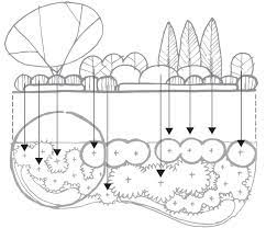 Garden design elevations being a freelance artist. Elevation To Plan Landscape Design Drawings Garden Design Plans Landscape Plans