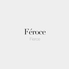 Fierce French French Quotes Words French Phrases