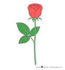 Finally, here comes the fun part. How To Draw A Rose Step By Step Animeoutline
