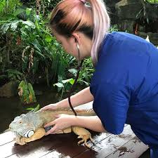 We are committed to providing personalised health care for your pets with our team of professionals using the latest diagnostics. 21 Best Vets In Singapore Includes 24 Hour And Mobile Vets