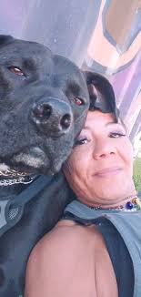 Lost cat Rusty in NF South Avenue and 24th area of WNY