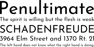 Sans serif is a category of typefaces. Font Squirrel Josefin Sans Font Free By Typemade