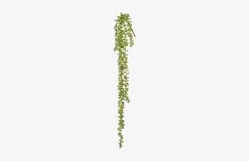 Green leafed plants, wall hanging basket plant flowerpot, american wood wall flower baskets transparent background png clipart. Hanging Plants Png Hanging Plant Png Png Image Transparent Png Free Download On Seekpng