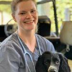 How Long Do Hamsters Live? Vet-Verified Average Lifespan, Data & Care