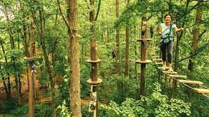 Find A Go Ape Location Near You Illinois Chicago Top Adventures Ziplining Forest Preserve