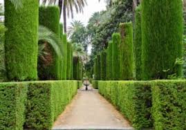 You can do the exercises online or download the worksheet as pdf. Konifer Dalam Reka Bentuk Landskap Jenis Terbaik Pokok Untuk Kawasan Anda