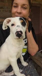 Skye covered by Carla Stratton, Kristy Roberts Ramos, Angie Lippard,  Heather Crossland and Kathy Varnado❤️