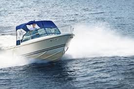 images?q=tbn:ANd9GcT_fvVcvCFGNvAdfaTCL4n