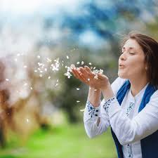Florais para liberar o passado | Healing