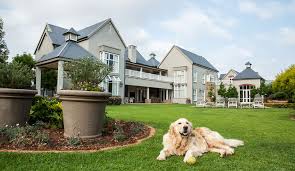 This includes what plants are poisonous and how to look out for plant poisoning. Use Dog Safe Plants Flowers To Create A Dog Friendly Garden