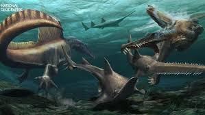 We did not find results for: Misteri Apakah Dinosaurus Bisa Berenang Terpecahkan