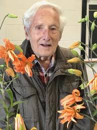 Novice's Oriental lily takes top title