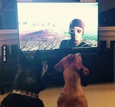 watch 2 dogs watch watch dogs 2 watch dogs funny picture quotes video games funny