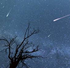 Sternschnuppen können nachts in meteorschauern auftreten, wenn der himmel wolkenlos ist. Sternschnuppen Aktuelle News Bilder Infos Welt