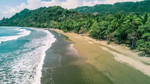 Find 1,242 traveler reviews, 1,758 candid photos, and prices for 5 spa resorts in dominical, costa rica. Top 6 Activities To Do In Dominical Costa Rica Drink Tea Travel