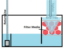 Apart from holding water, one primary job of standard sumps concerns with filtration. Diy Wet Dry Filter Guide The Mandarin Garden