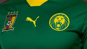 Flocage nouveau maillot foot equipe de cameroon domicile 2019/2020 pas cher | 11footballclub shopping. Survetement Equipe Du Cameroun 2016 Survet Foot