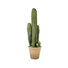 The marks won't go away, but they. Large Faux Cereus Potted Cactus Love Frankie