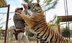 Tiger king star eric cowie did not have the best things to say about zoo owner joe exotic after working with him for half a decade. Tiger King What Happened To Zookeeper Erik Cowie Where Is He Now Tv Radio Showbiz Tv Express Co Uk