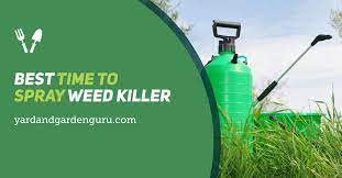 Best Time To Spray Weed Killer