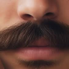 Movember