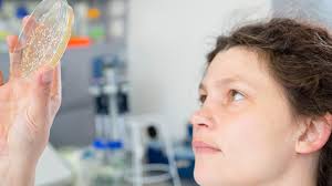 Professorship for Microbial Immunology