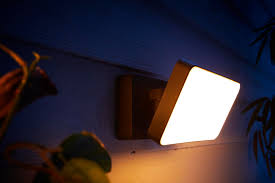 Philips Hue White Welcome Outdoor Floodlight Black 1743630v7 Best Buy