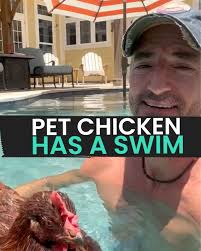 This COOL Chicken Cools Of In The Family Pool 🐔 🏊‍♀️