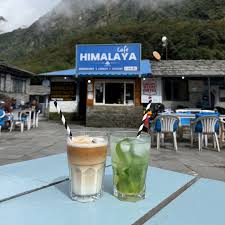 Image result for Manostachya