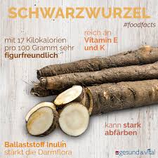 Schwarzwurzeln So Gesund Ist Das Beliebte Wintergemuse Schwarzwurzel Wurzel Nicht Essen