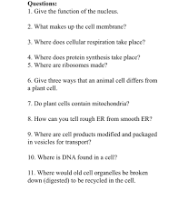 Cellular respiration occurs in both eukaryotic and prokaryotic cells, with most reactions taking place in the cytoplasm of prokaryotes and in the mitochondria of eukaryotes. Questions 1 Give The Function Of The Nucleus 2 Chegg Com