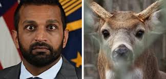 WASHINGTON—In a setback for the embattled FBI director, Kash Patel learned 