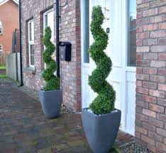 Now you can enjoy the fine art of topiary with no skills required. Front Door Double Spiral Topiaries Double Spiral Topiary Spiral Topiary Outdoor Artificial Spiral Topiary Plant Topiary Trees Artificial Topiary Spiral Topiary