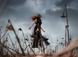 Sunflowers have been grown in texas for some time. Germany Fine Art Photographer Dead Sunflower Field With Tori Ramstein Kmc And Kaiserslautern Portrait Couple And Family Photographer