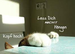 Kopf Hoch Kopf Hoch Whatsapp Profilbilder Weisheiten Zitate