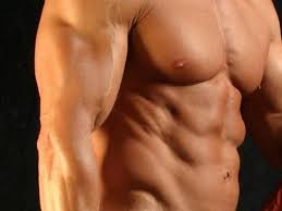 Pin On Gain Muscle Videos