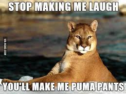 But what makes a dad joke different from a regular pun? Bad Dad Jokes Home Facebook