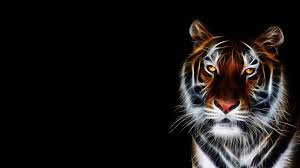 Animated Tiger Wallpaper 56 Images Tiger Wallpaper Big Cats Art Tiger Artwork