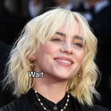 Billie Eilish Canape 6 Place