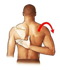 Image result for Shoulder Exam