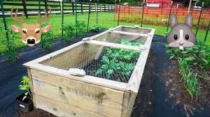 Maybe you would like to learn more about one of these? Top Ways To Organize And Protect Your Garden From Animals Youtube