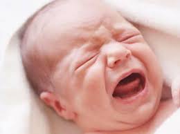 Possums & Dr Pamela Douglas