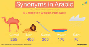 Camel definition, either of two large, humped, ruminant quadrupeds of the genus camelus, of the old world. The Beauty Of The Arabic Language Fluent Arabic Classical Arabic Blog