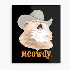 Sad cat wearing a cowboy hat meme poster by celestialhco redbubble. Westvirginia Singende Cowboykatze Meme Metallbild Von Celestialhco Redbubble