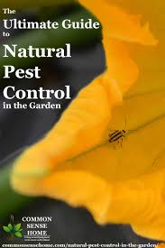 The integrated part of ipm is a combination of historically proven methodologies with more common impediments such as botanical and chemical applications. Natural Pest Control In The Garden Get Rid Of 20 Top Pests