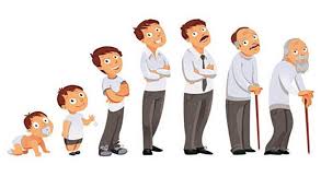 Ciclo biológico de Vida - Posts | Facebook