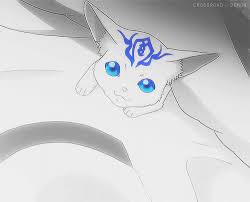 O Chan Hiiro No Kakera Anime Animals Manga Anime Anime Fantasy